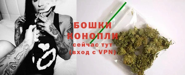 PSILOCYBIN Заволжье
