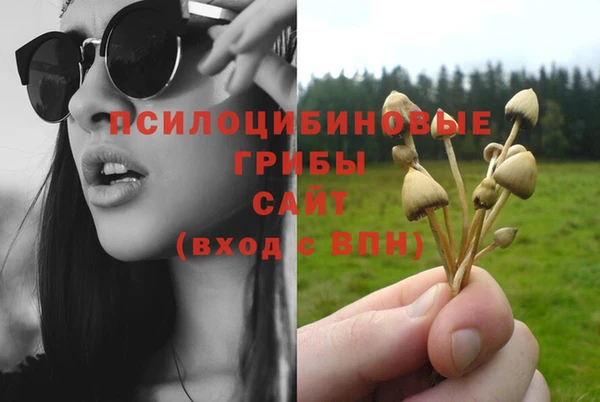 соль курить ск Заволжск