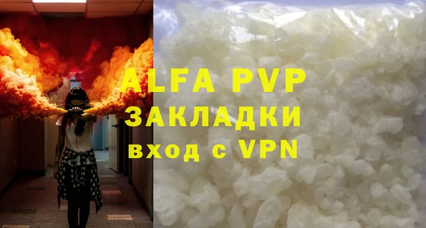 PSILOCYBIN Заволжье
