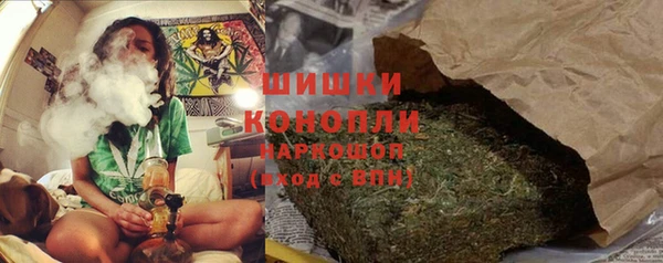 PSILOCYBIN Заволжье