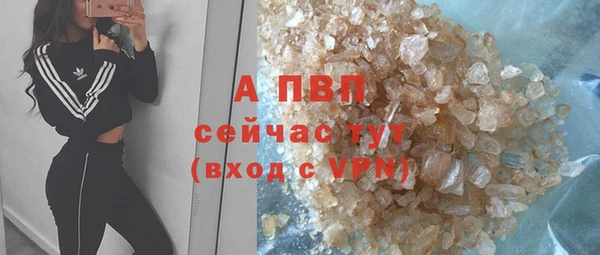 PSILOCYBIN Заволжье